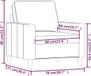 vidaXL Fauteuil lichtgrijs 60 cm fluweel