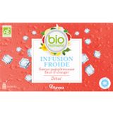 Bio Nutrisanté - Infusion froide détox 20 sachets