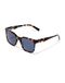 HAWKERS TEAL CAREY BLAUW