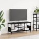VidaXL TV-kast zwart eiken 100 x 35 x 45 cm gemonteerd hout en ijzer