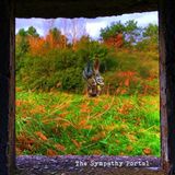 Konkurrent Edward Ka-Spel - The Sympathy Portal (LP)