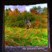 Konkurrent Edward Ka-Spel - The Sympathy Portal (LP)