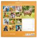 Presco NOTIQUE Christiane Slawik Paardenkalender 2027