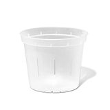 rePotme 6 inch plantenpot met sleuven voor orchideeën, vetplanten, kamerplanten - 3 stuks - kristalhelder