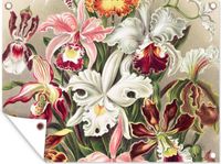 Poster de jardin - Ernst Haeckel - 160x120 cm - Bannière - Poster de jardin pour extérieur