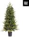 Black Box Grimshaw x-mas tree Dual Led green warm white 80L 206 TIPS battery operated with timer - h120xd60cm