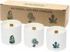 FMC gifts Set Grote Botanische Geurkaarsen - Soy Wax - Viooltjes - Keramiek Potten