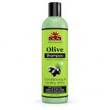 Okay Okay Olijfolie-shampoo, voor alle haartypes en -structuren, verzorgt en gezonde glans, verzorgend, gehydrateerd, vrij van sulfaat, siliconen en parabenen, 340 ml