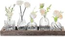 ZenithVibe Elegante Vases en verre pour salon : set de 5 vases transparents avec plateau en bois