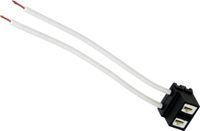 Carpoint Vervangingsstekker H7 Lamp
