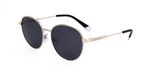 Polaroid PLD 4135/S/X Gold grey 54/17/145 MAN Zonnebrillen