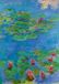 Bluebird Puzzel, Claude Monet, Waterlelies, 1917 - 1000 pièces