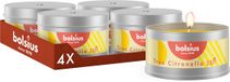 Bolsius Bougie parfumée Citronella en boîte - 4 pièces - 22 heures de combustion
