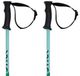 Völkl Volkl Phantastick Junior Stokken Zilver 100 cm Kinderen