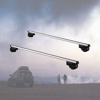 Twinny Load Universele Dakdragerset Aluminium Driver 124cm - Open Dak Reling - Zilver