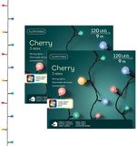 Lumineo Feestverlichting - 2x - Gekleurd - 120 LED Lampjes - 9 Meter - Twinkle - Lichtsnoeren - Buiten Verlichting - Kerstverlichting