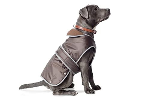 Ancol Muddy Paws All Weather Stormguard Coat Chocolate - XS (25cm length, up to 43cm chest)