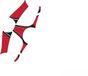 Puig 6985R Protector voor schacht BMW F800s 07-10/F800gs 08-12, rood