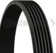 Continental CONTITECH 6PK1352 V-ribband