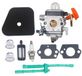 Carburateur et kit de nettoyage Icecat