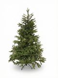 Black Box Trees Frasier Sapin artificiel - H260 cm - Vert