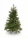Black Box Trees Frasier Sapin artificiel - H260 cm - Vert