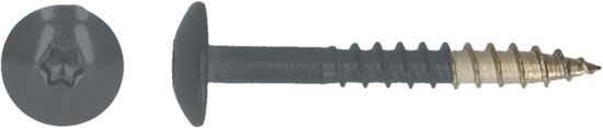 pgb-Europe PGB-FASTENERS HPL schroef Tx20 4,8x38 R7011 A4