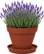 EDA Romeo Pot de fleurs et soucoupe - D21 x H16 cm - terre cuite - plastique - intérieur et extérieur