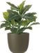 Mica Decorations Kunstplant Philodendron - groen - 49 cm