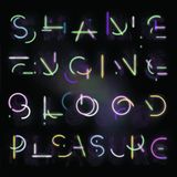 Shame Health & Beauty Shame Engine / Blood Pleasure (2 LP)