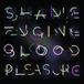Shame Health & Beauty Shame Engine / Blood Pleasure (2 LP)