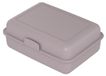 Icecat Lunchbox "School-Box" groot - Lunchbox durable en canne à sucre - Boîte à pain idéale pour enfants et adultes - lilas
