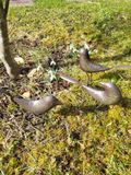 POSIWIO Set van 3 vogels, donkerbruin geverfd