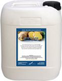 Claudius Cosmetics B.V. Body & Hair Fresh Ginger - 10 Liter - 2 in 1 voor lichaam en haar.