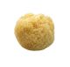 Koh-I-Noor 13M badspons serie Corpo, wit