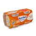 Nutribén Potitos Pomme Golden 2x120g