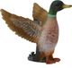 Collecta Wilde Eend Figurine - (S)