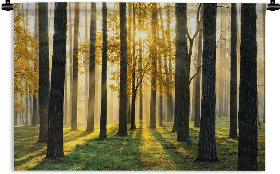 1001Tapestries Wandkleed - Bos - Zon - Bomen - Gras - Landschap - Natuur - 150x100 cm - Katoen - Modern