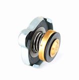 Calorstat RC0050 Radiator Dop