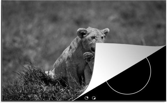 KitchenYeah® Inductie beschermer 77x51 cm - Twee welpen spelen en brullen in gras - zwart wit