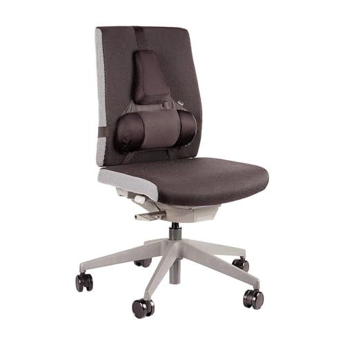 Fellowes Professional Series professionele rugsteun met traagschuim, zwart