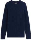 Tommy Hilfiger Heren Gebreide Trui Katoen XXL