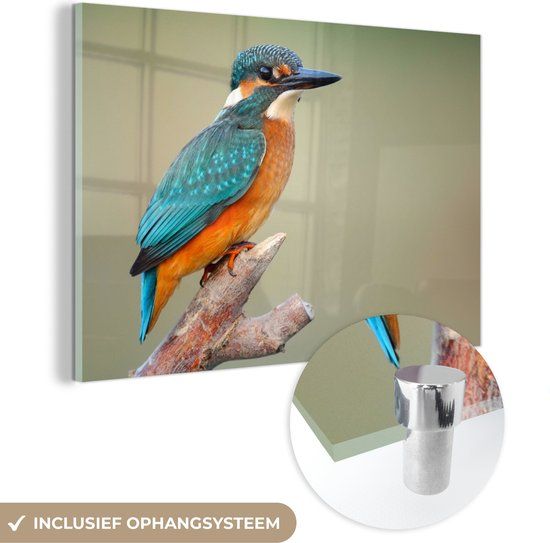 MuchoWow® Glasschilderij 60x40 cm - Acrylglas Schilderij - IJsvogel - Multicolor