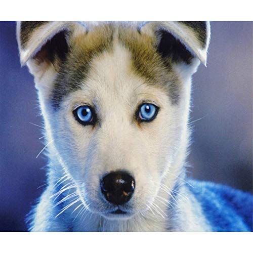 Diamond Painting Volwassenen - Hobby Painter