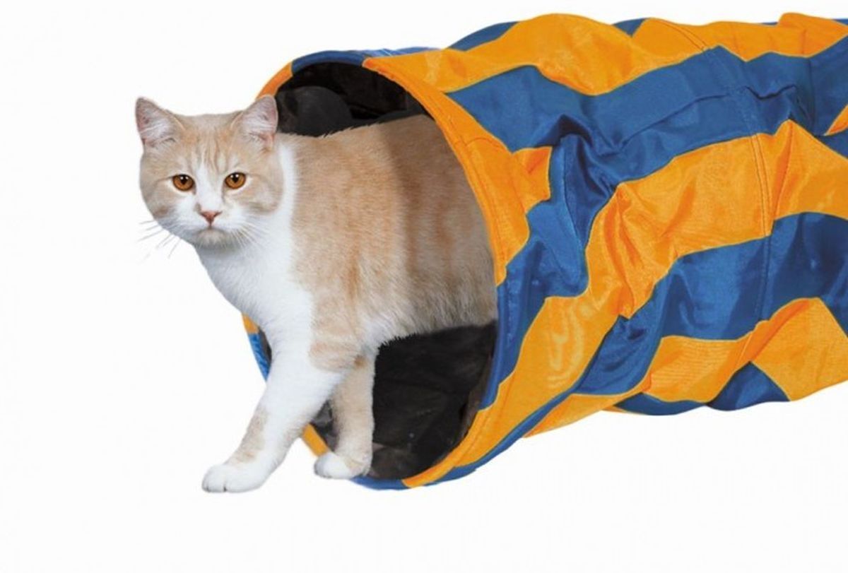 Nobby katten speeltunnel nylon 50 cm - 1 ST