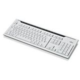 Fujitsu KB520, PL toetsenbord USB Grijs