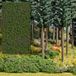Busch-Jaeger Busch FOLIAGE WALDHEIDELBEEREN (2/23) * - Modelspoorschaal H0, Groen/Paars, Kunststof