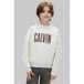 Calvin Klein sweater met borduursels