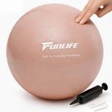 FunLife Pilatesbal 25 cm met Pomp - Poederroze