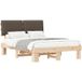 Lit Double Lit Adulte Cadre De Lit Avec Tête De Lit Rembourrée Taupe 160 x 200 cm
